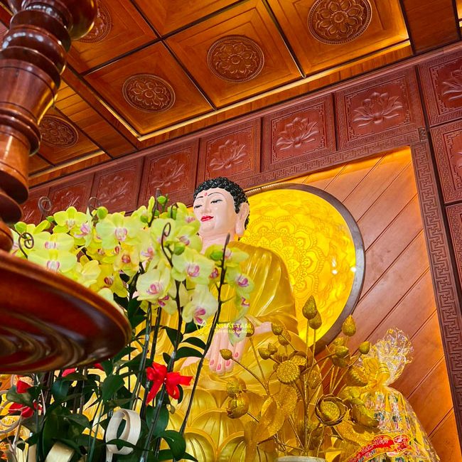 Tranh truc chi chua 3